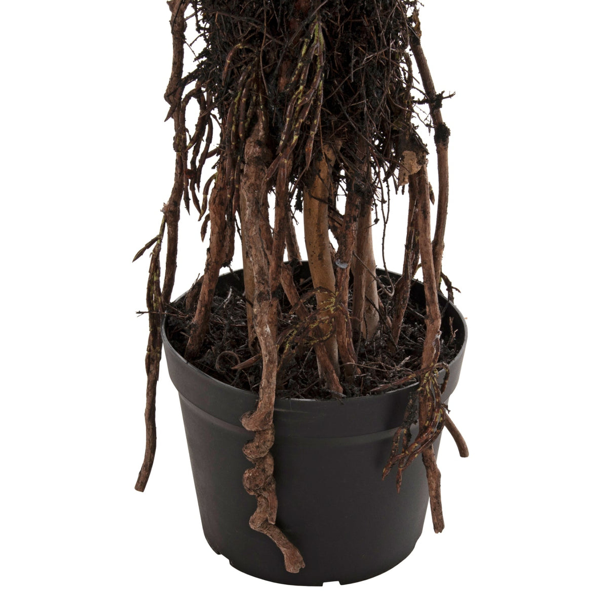 Plantă artificială COLSA SISAL verde, în ghiveci din polipropilenă, înălțime 180 cm