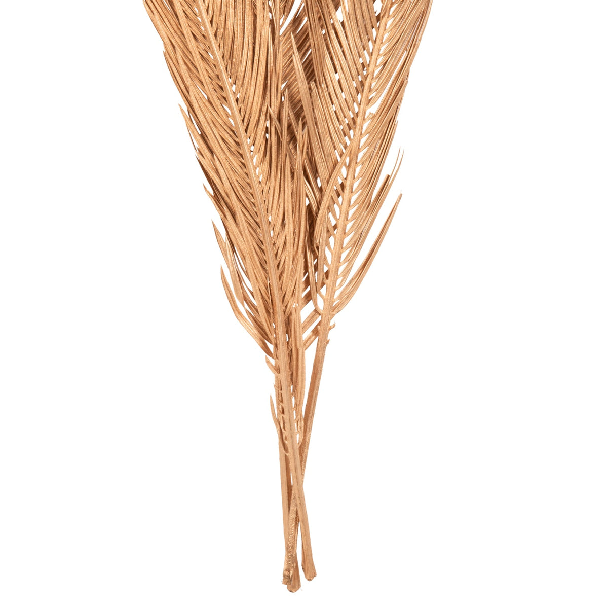 Set 3 frunze uscate de palmier ALANTA PALM GOLD, culoare bej, înălțime 110 cm
