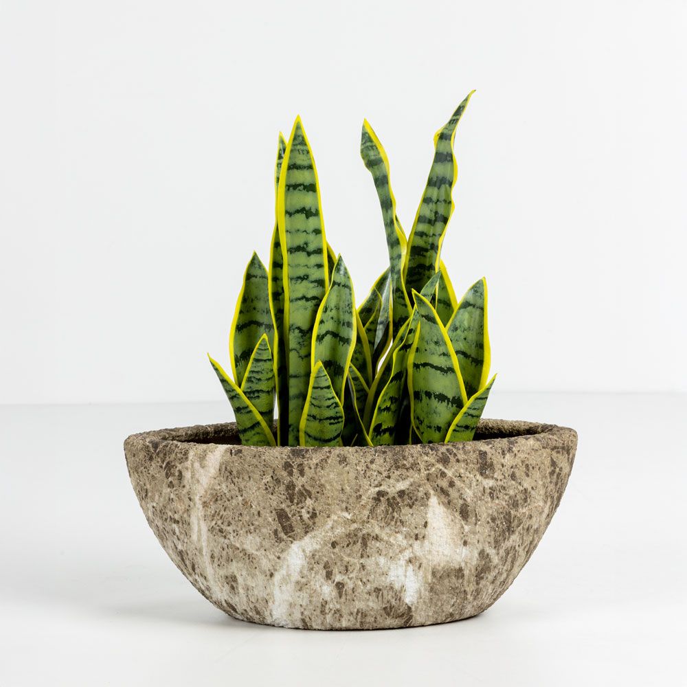 Set 2 ghivece ceramice BASHIR, bej-maro, 46 x 22 x 20 cm și 35,5 x 16 x 14,5 cm
