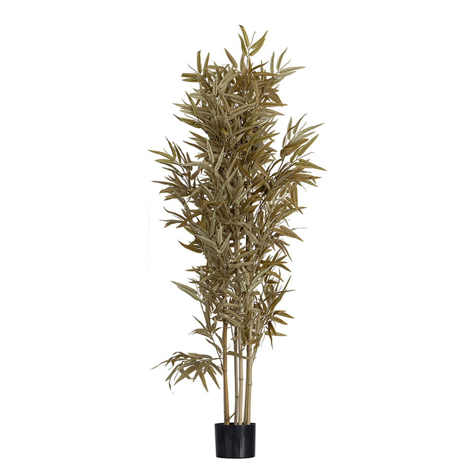 Plantă artificială BAMBOO - P, Ø 84 cm, înălțime 150 cm