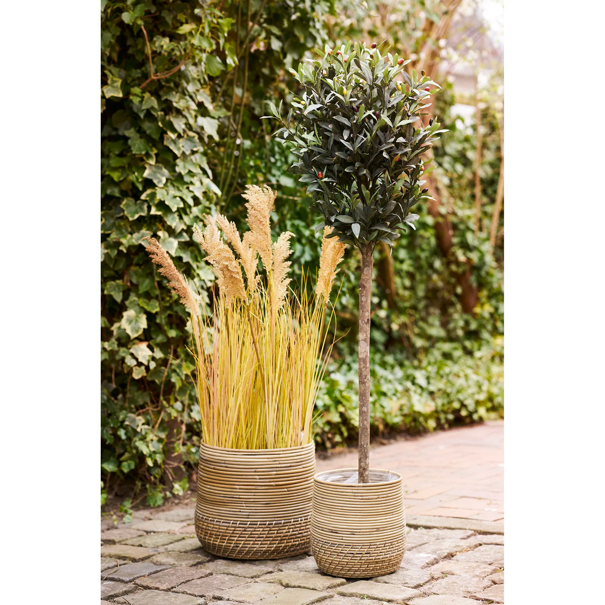 Set 2 coșuri decorative ZOLMIRA din ratan natural, 25/38 x 25/38 x 28/34 cm