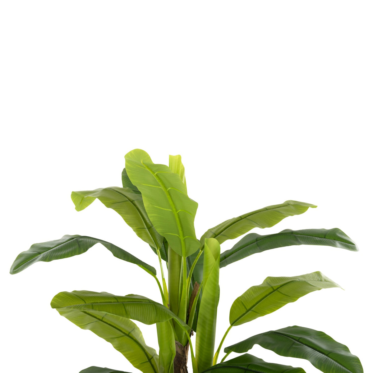 Plantă artificială COLETA BANANA TREE verde, ghiveci din polipropilenă, înălțime 123 cm