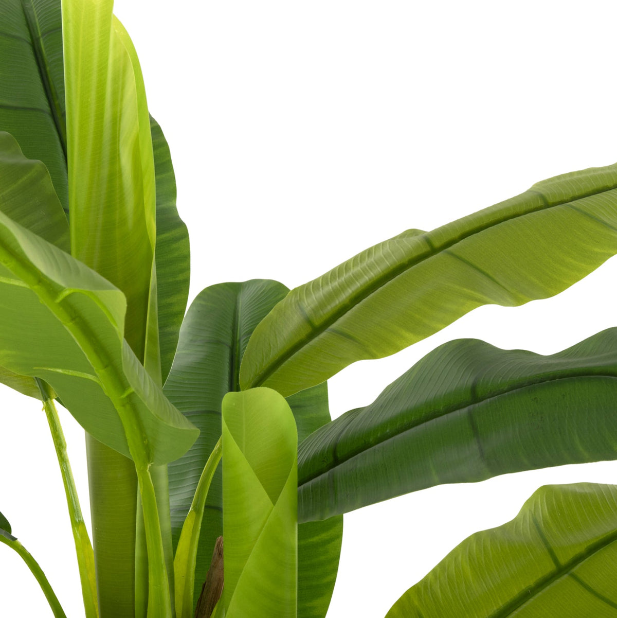 Plantă artificială COLETA BANANA TREE verde, ghiveci din polipropilenă, înălțime 123 cm