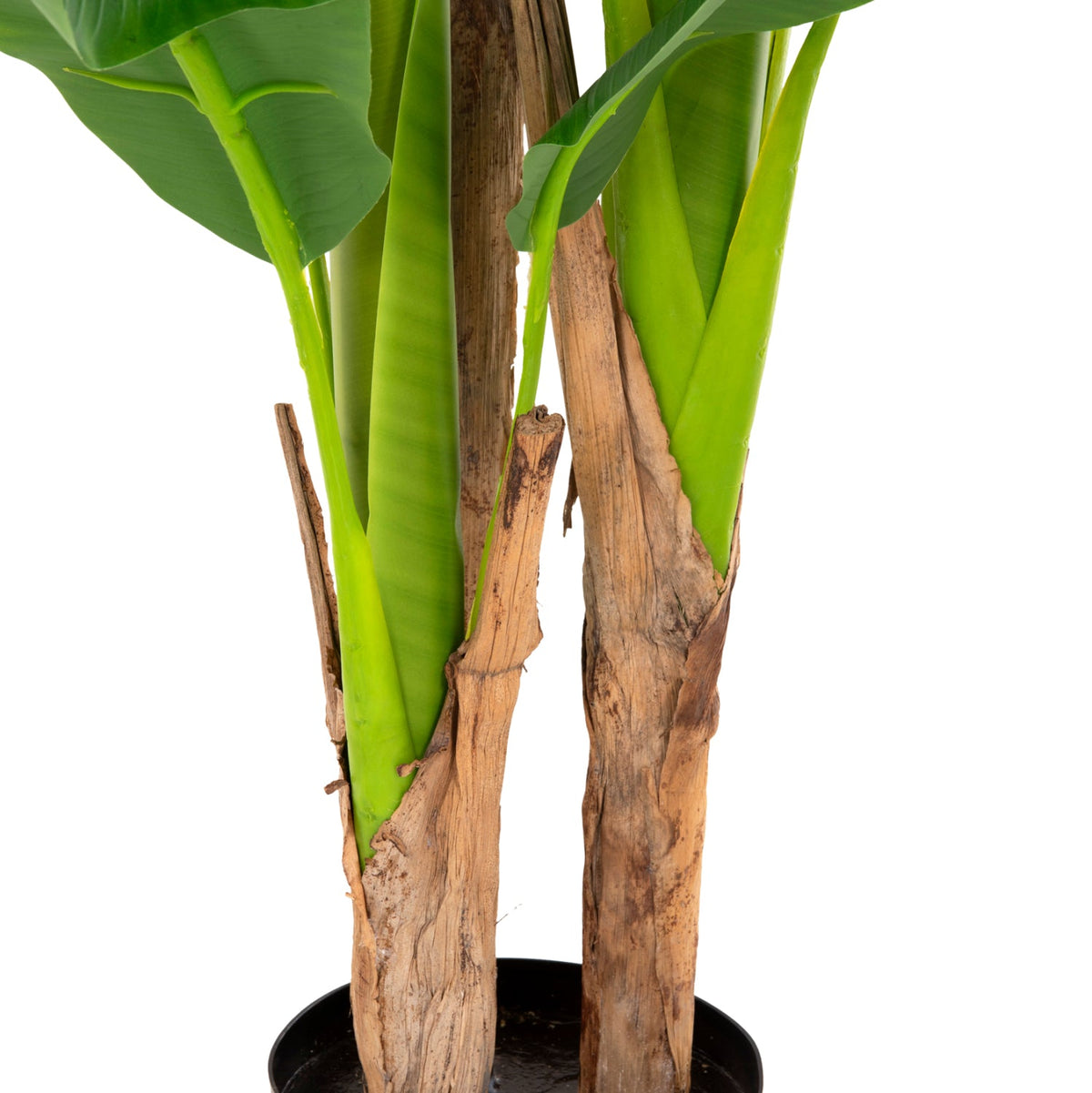 Plantă artificială COLETA BANANA TREE verde, ghiveci din polipropilenă, înălțime 123 cm