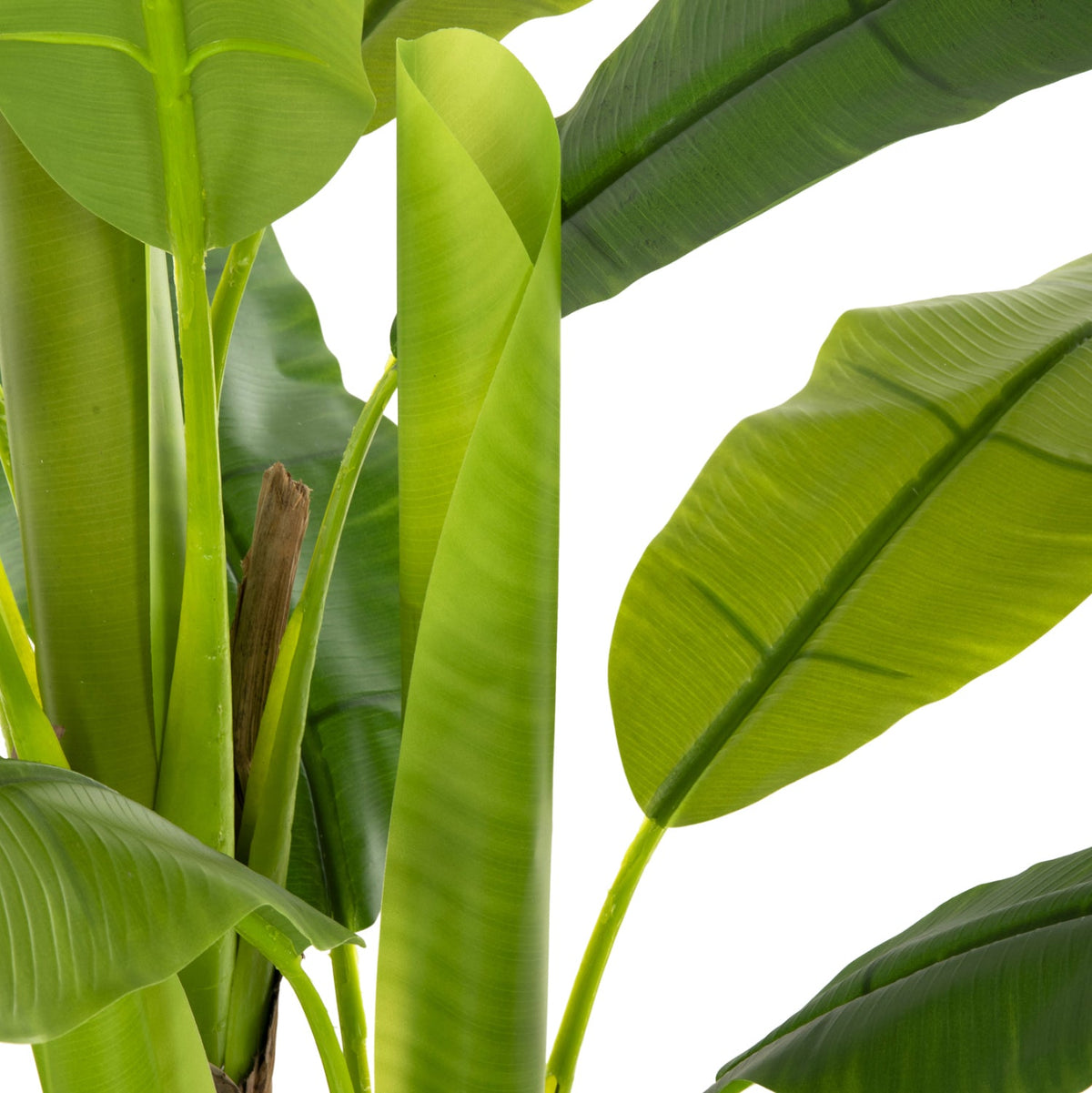 Plantă artificială COLETA BANANA TREE verde, ghiveci din polipropilenă, înălțime 123 cm