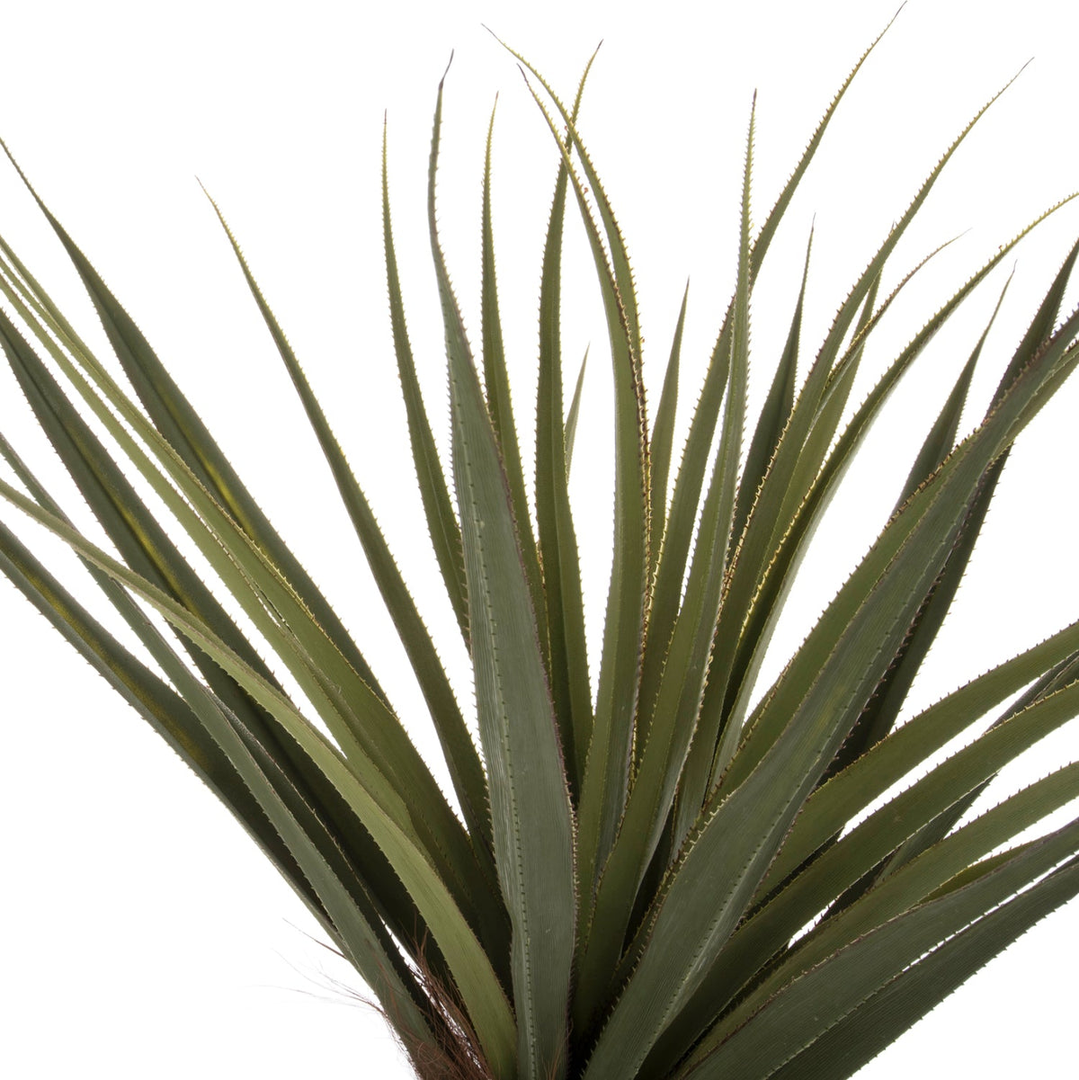 Plantă artificială COLSA SISAL verde, în ghiveci din polipropilenă, înălțime 180 cm