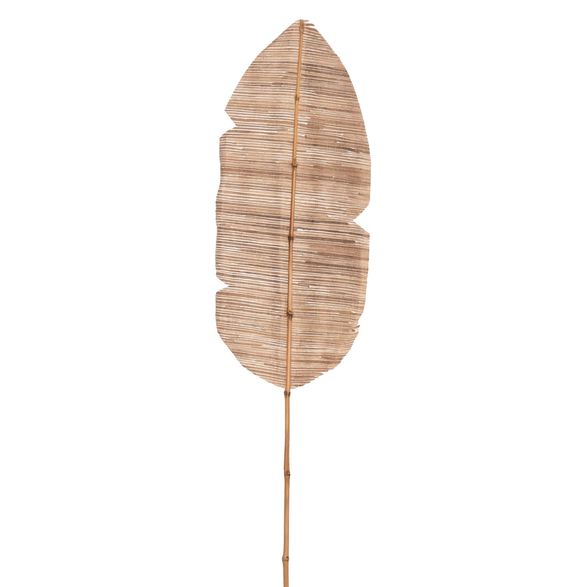 Frunză uscată MEDA HYACINTH NATURAL din zambilă de apă, 32 x 3 x 200 cm
