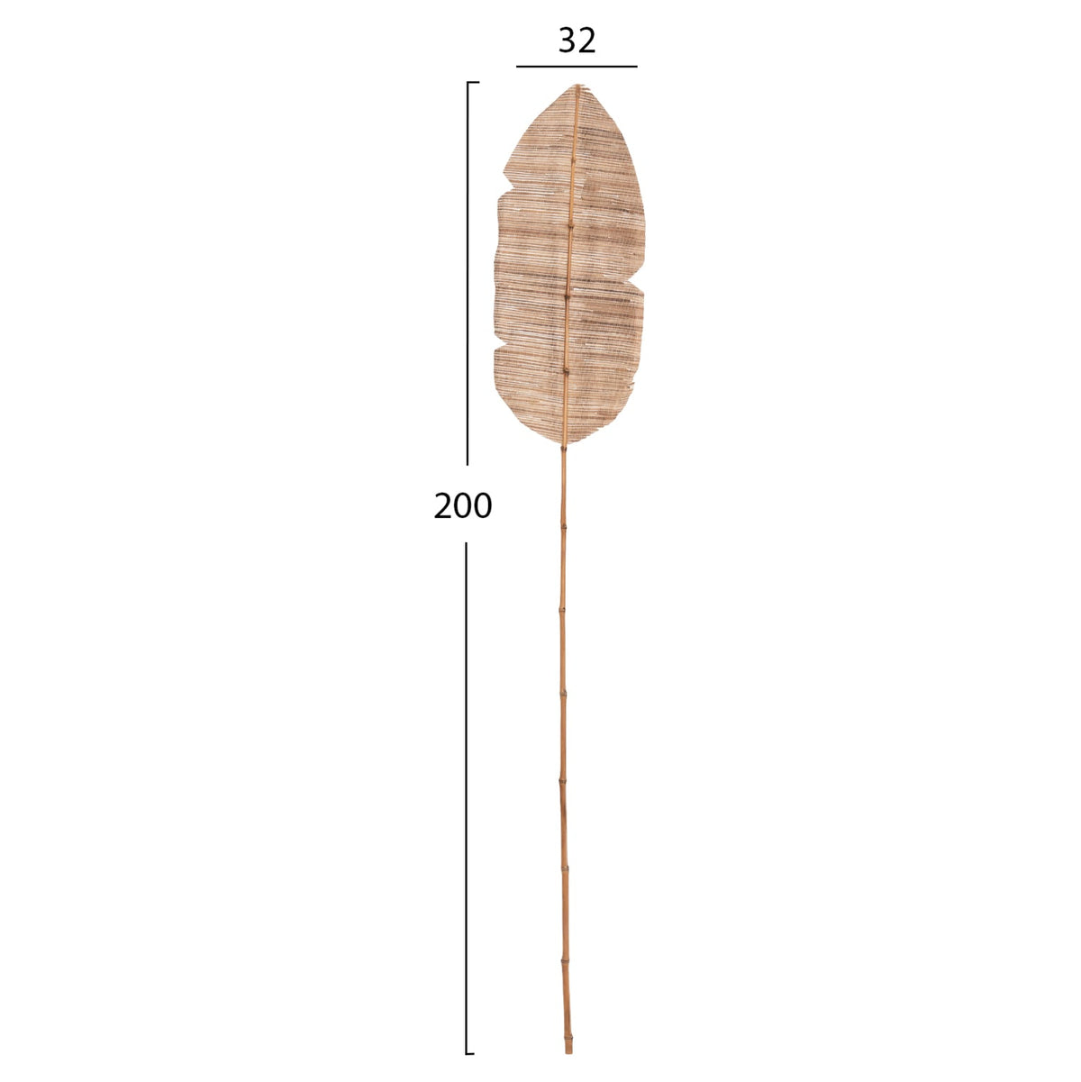 Frunză uscată MEDA HYACINTH NATURAL din zambilă de apă, 32 x 3 x 200 cm
