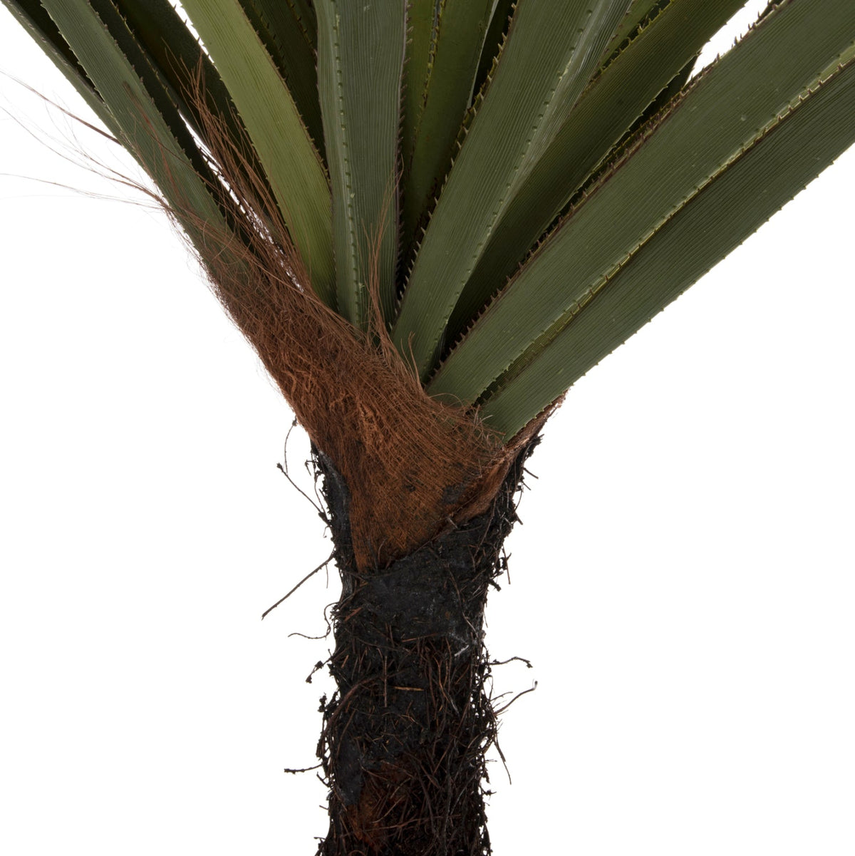 Plantă artificială COLSA Sisal verde, 200 cm, ghiveci din polipropilenă, frunze din polietilenă