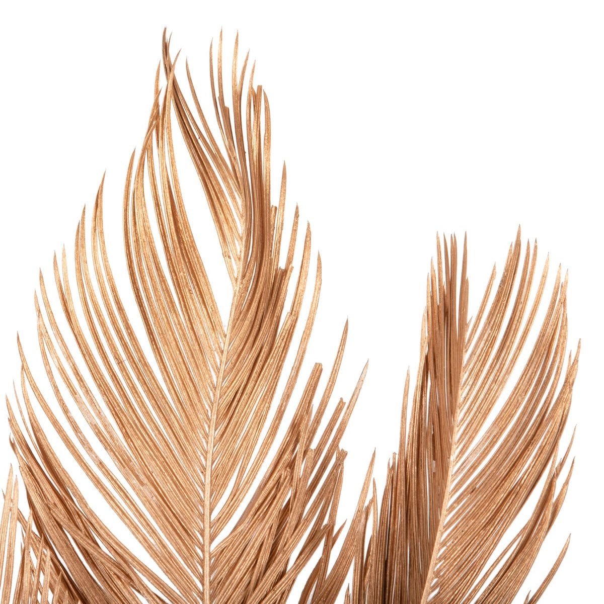 Set 3 frunze uscate de palmier ALANTA PALM GOLD, culoare bej, înălțime 110 cm