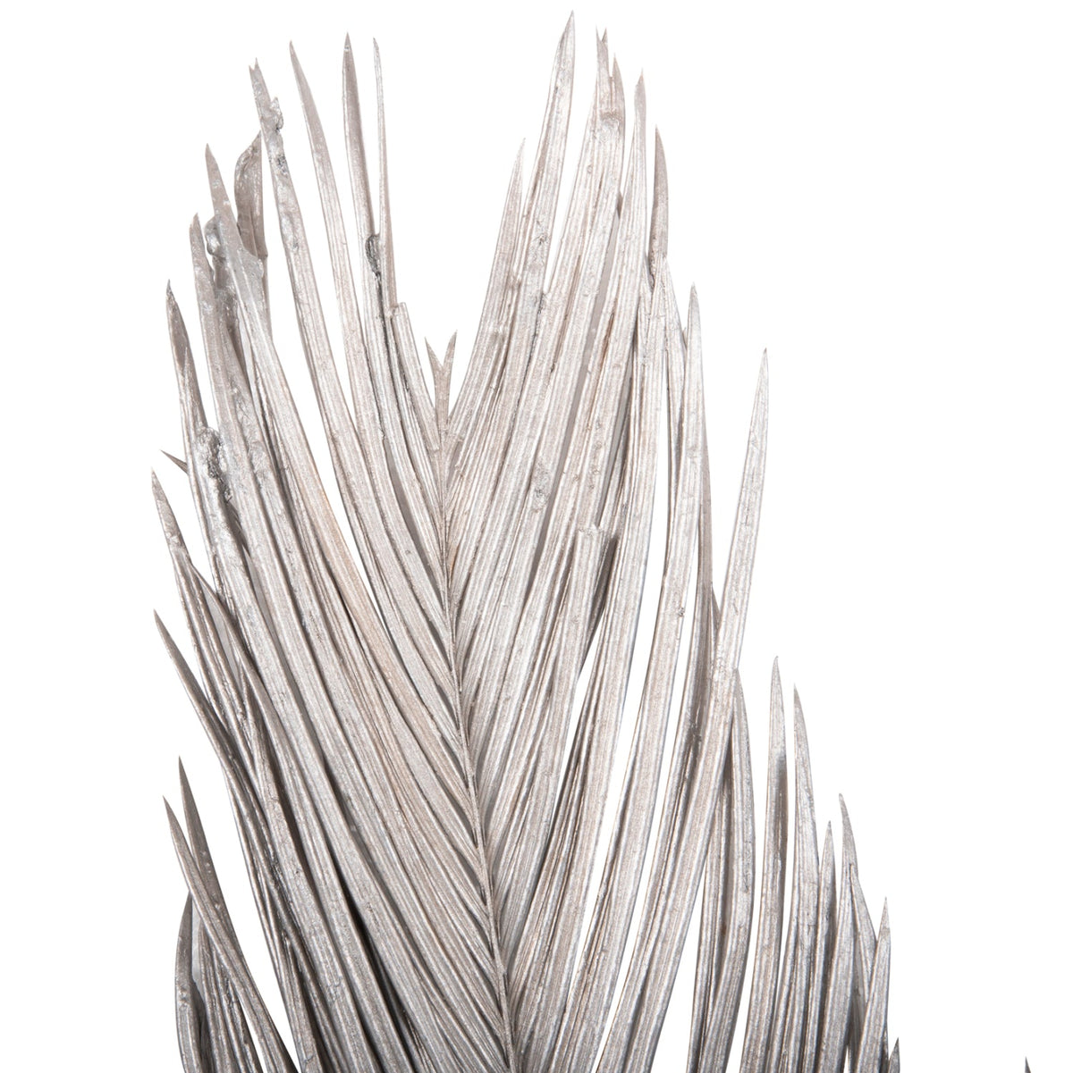 Set 3 frunze uscate de palmier ALANTA PALM SILVER, gri, înălțime 110 cm