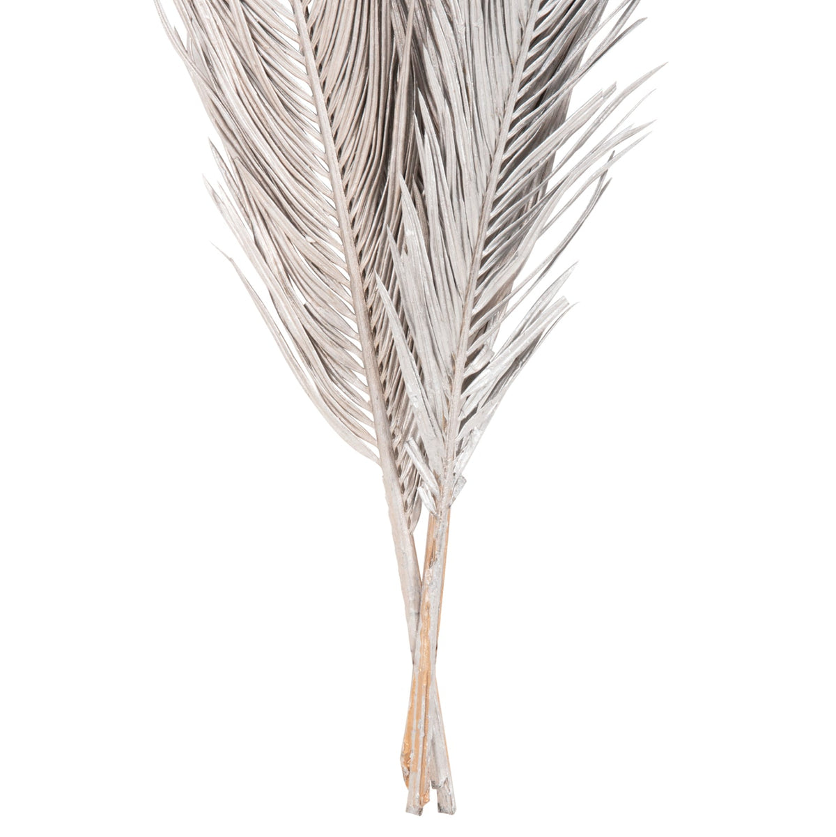 Set 3 frunze uscate de palmier ALANTA PALM SILVER, gri, înălțime 110 cm