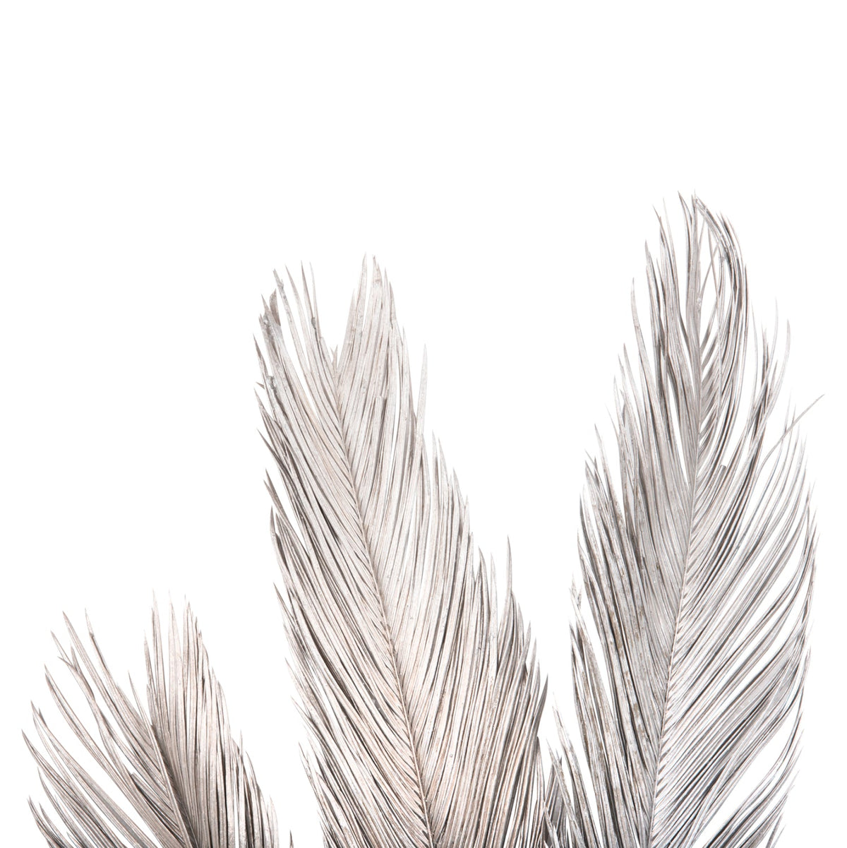Set 3 frunze uscate de palmier ALANTA PALM SILVER, gri, înălțime 110 cm