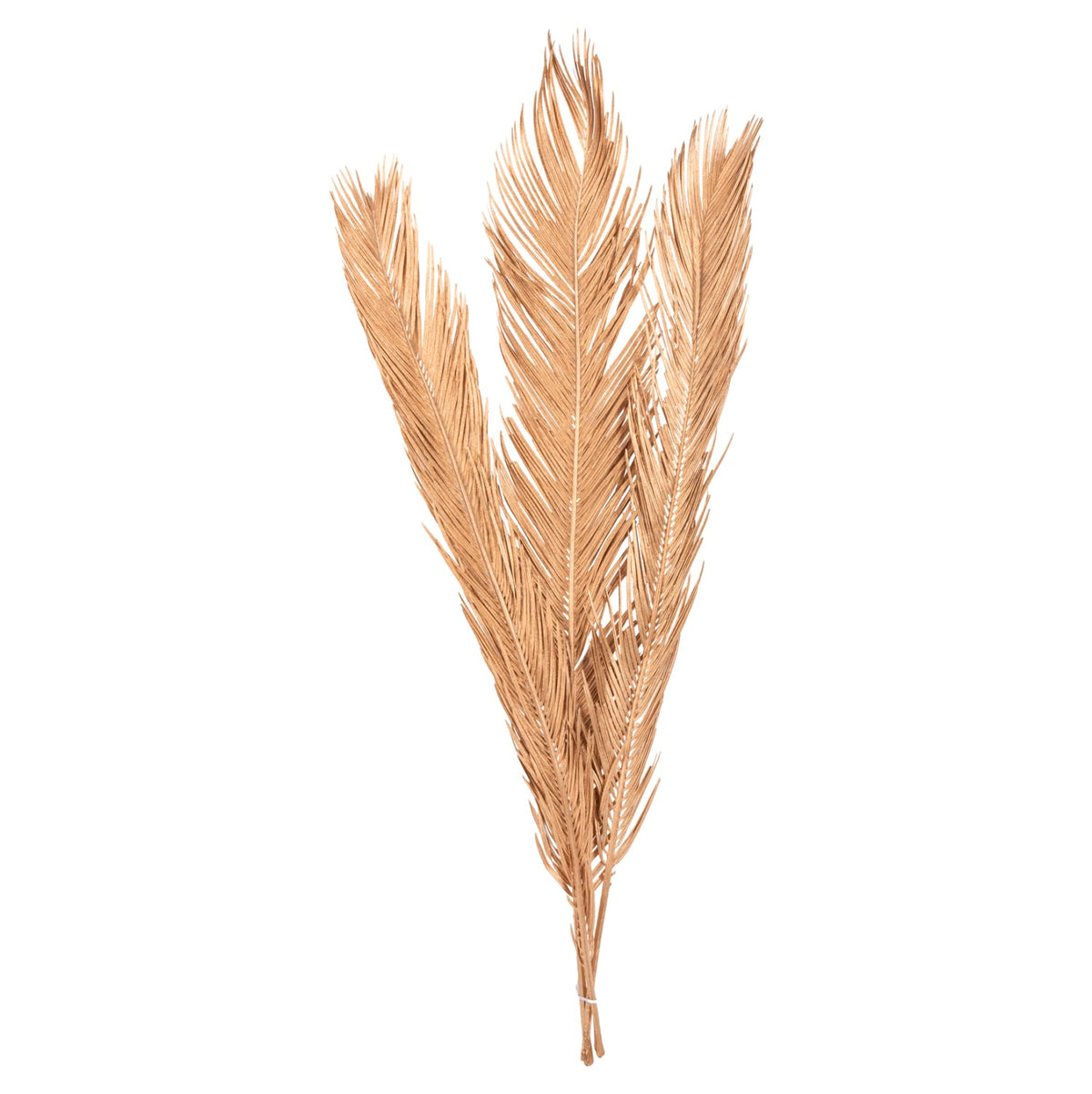 Set 3 frunze uscate de palmier ALANTA PALM GOLD, culoare bej, înălțime 110 cm