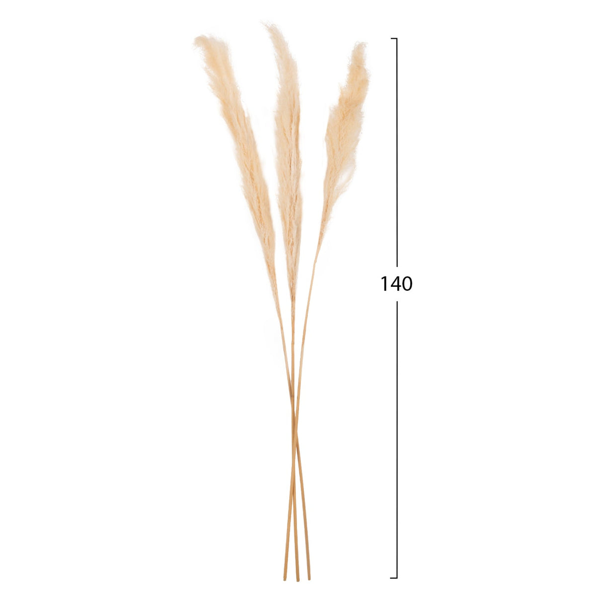 Set 3 fire de stuf uscat KENAI REED, alb, înălțime 140 cm
