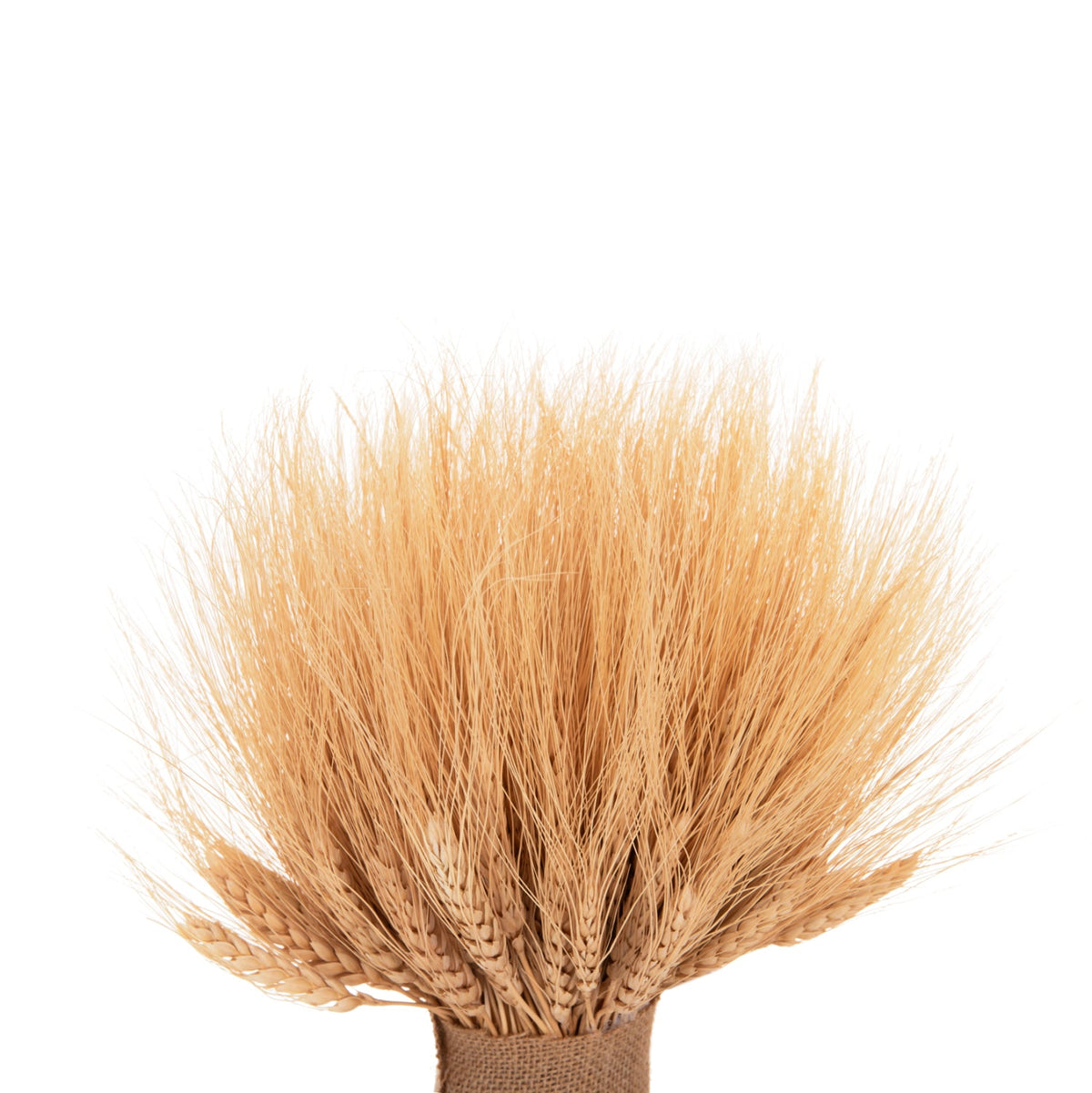 Buchet flori uscate CARLO BOUQUET din fire de grâu uscat, înălțime 48 cm