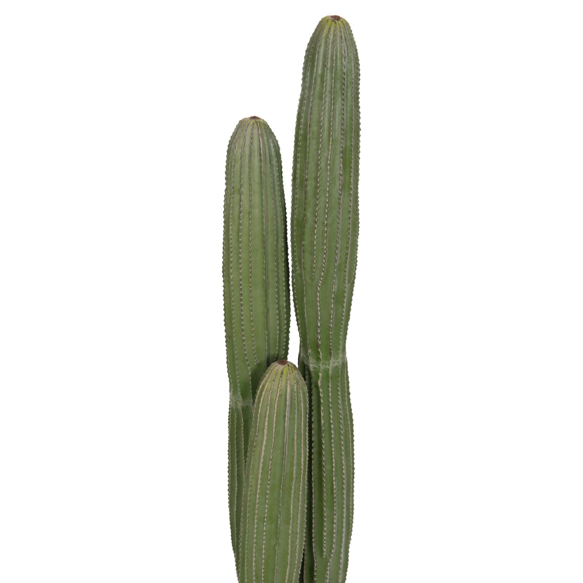 Cactus artificial MARVIN din polietilenă, în ghiveci din polipropilenă, înălțime 105 cm