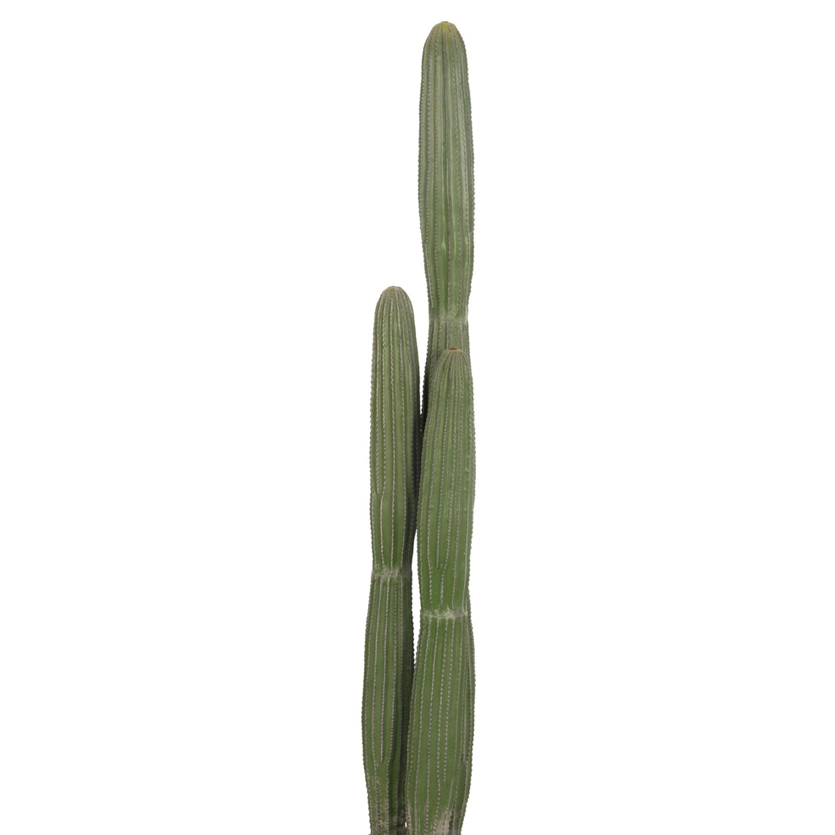 Cactus artificial ARLET din polietilenă, în ghiveci din polipropilenă, înălțime 144 cm