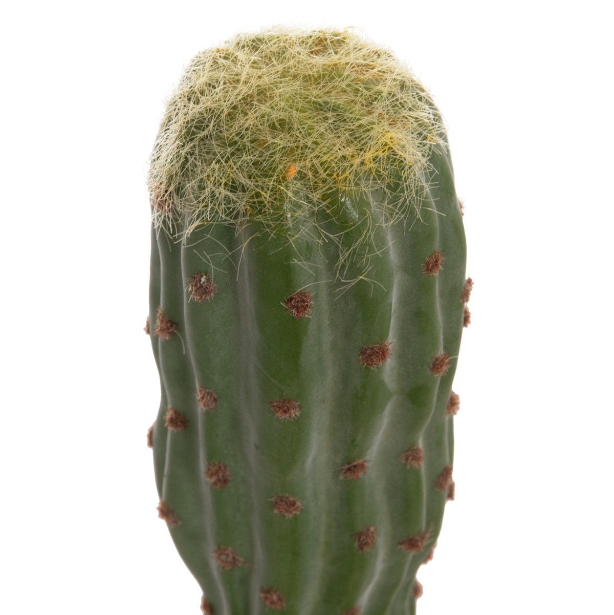 Cactus artificial PIOVRA din polietilenă, în ghiveci din polipropilenă, înălțime 115 cm
