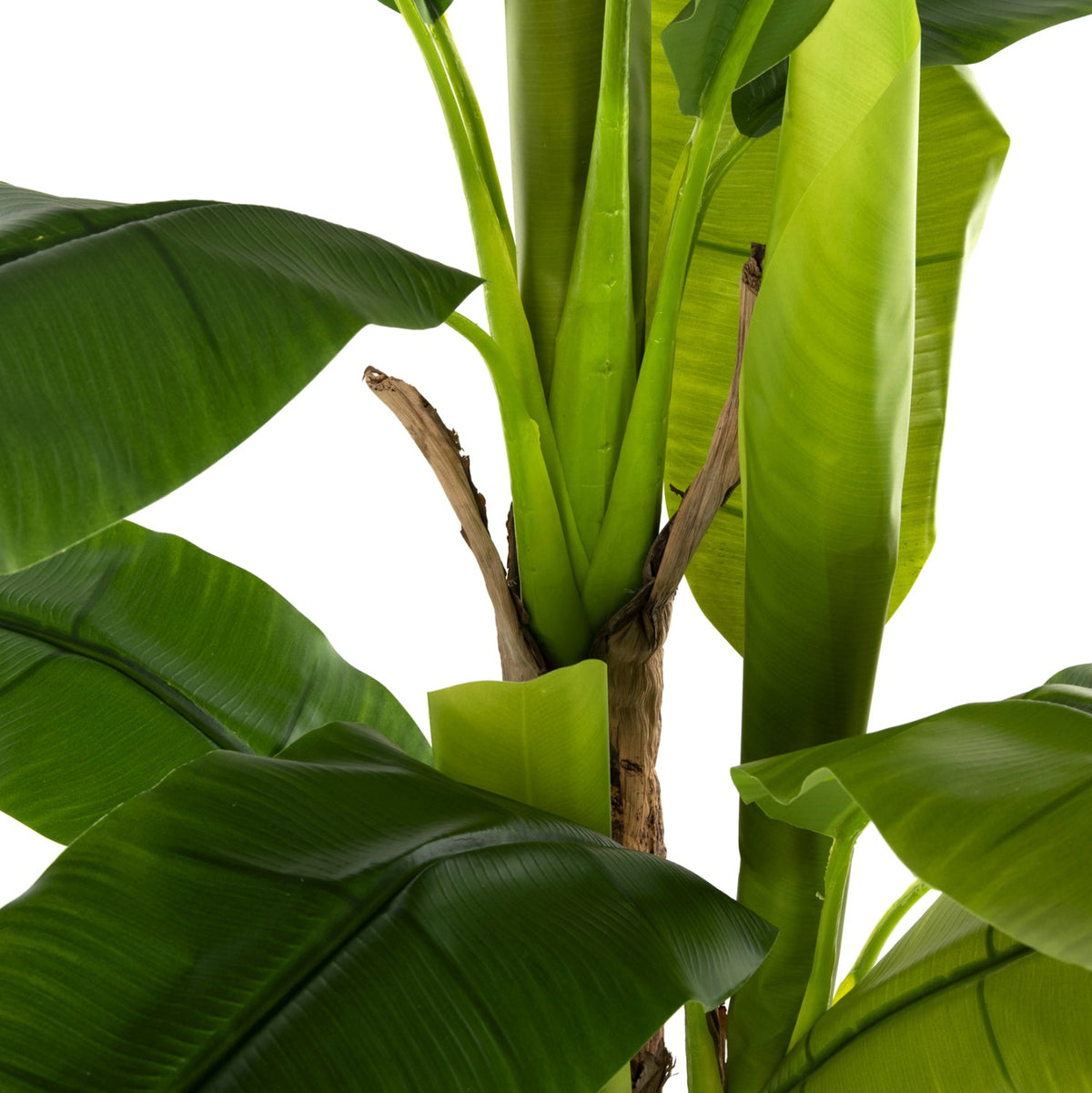 Plantă artificială Coleta Banana Tree verde, cu ghiveci din polipropilenă, înălțime 150 cm