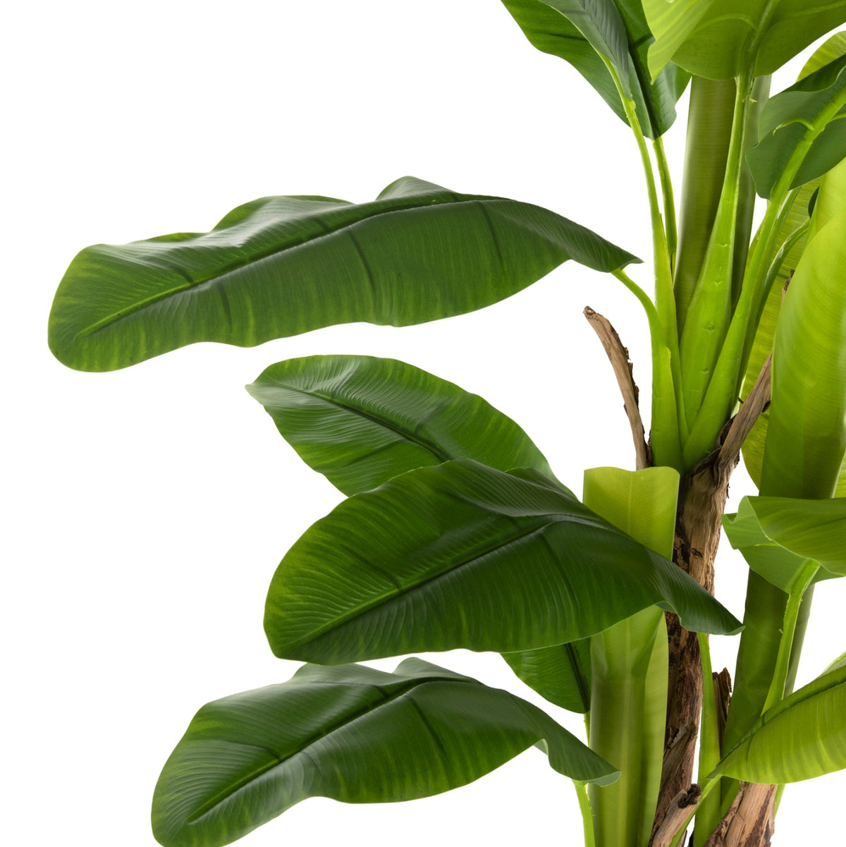 Plantă artificială Coleta Banana Tree verde, cu ghiveci din polipropilenă, înălțime 150 cm