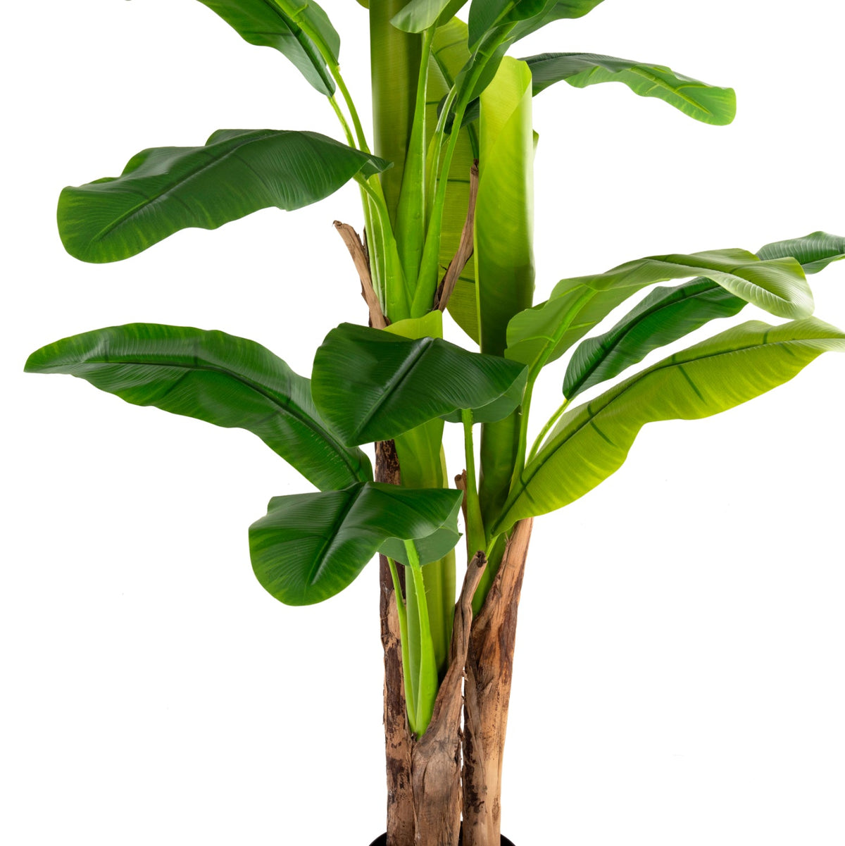 Plantă artificială Coleta Banana Tree verde, cu ghiveci din polipropilenă, înălțime 150 cm