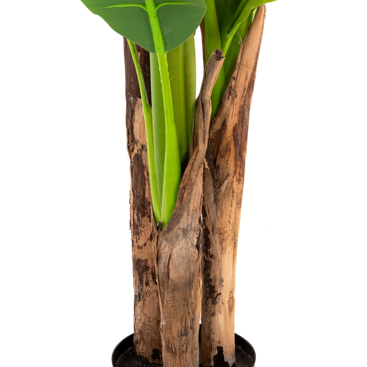 Plantă artificială Coleta Banana Tree verde, cu ghiveci din polipropilenă, înălțime 150 cm