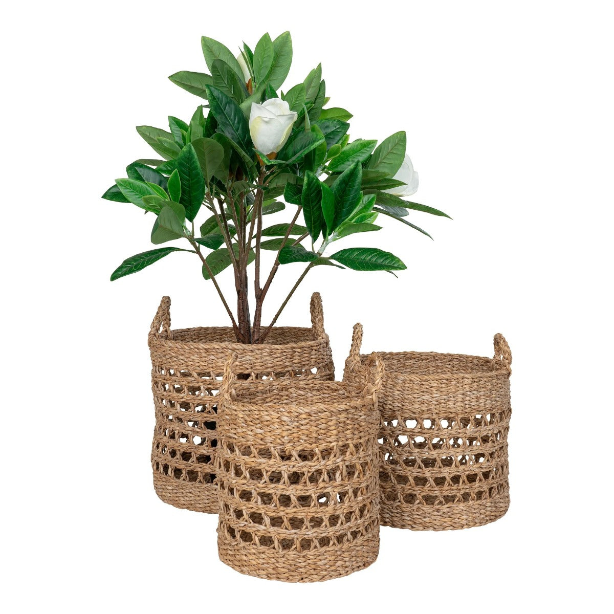 Set 3 coșuri decorative FELDER din iarbă de mare, diametre 28, 32 și 36 cm