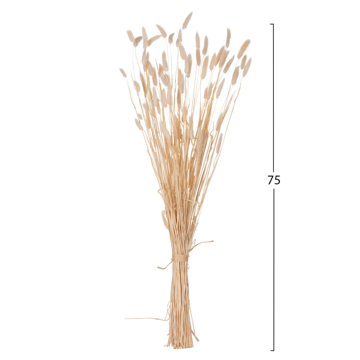 Buchet flori uscate NANSI BOUQUET din coadă de iepure, crem, înălțime 76 cm