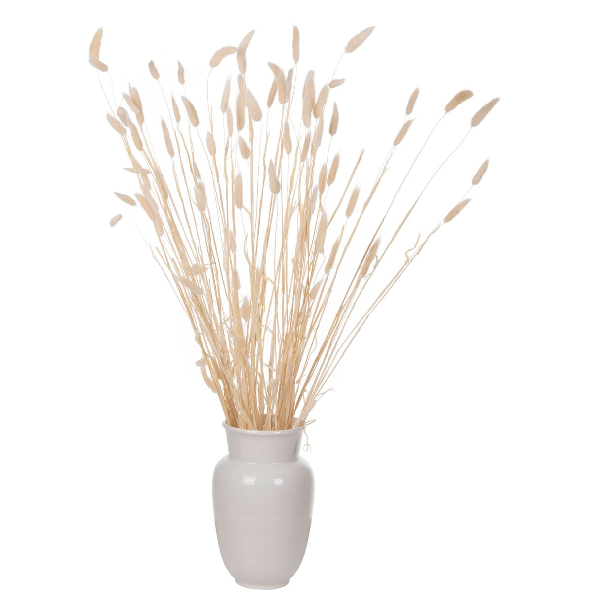 Buchet flori uscate NANSI BOUQUET din coadă de iepure, crem, înălțime 76 cm